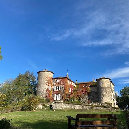 Bed and Breakfast Chateau De Montcuquet Lautrec Экстерьер фото