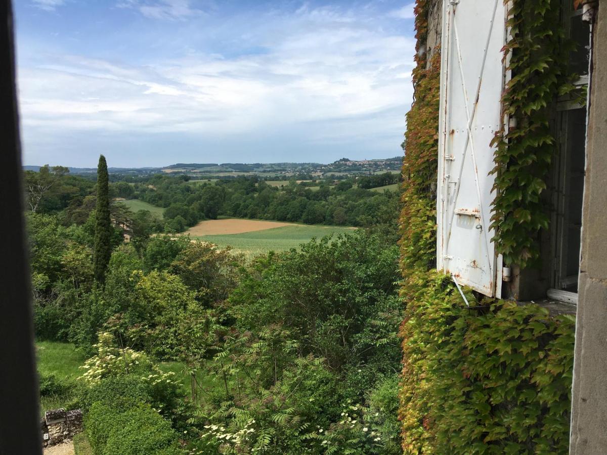 Bed and Breakfast Chateau De Montcuquet Lautrec Экстерьер фото