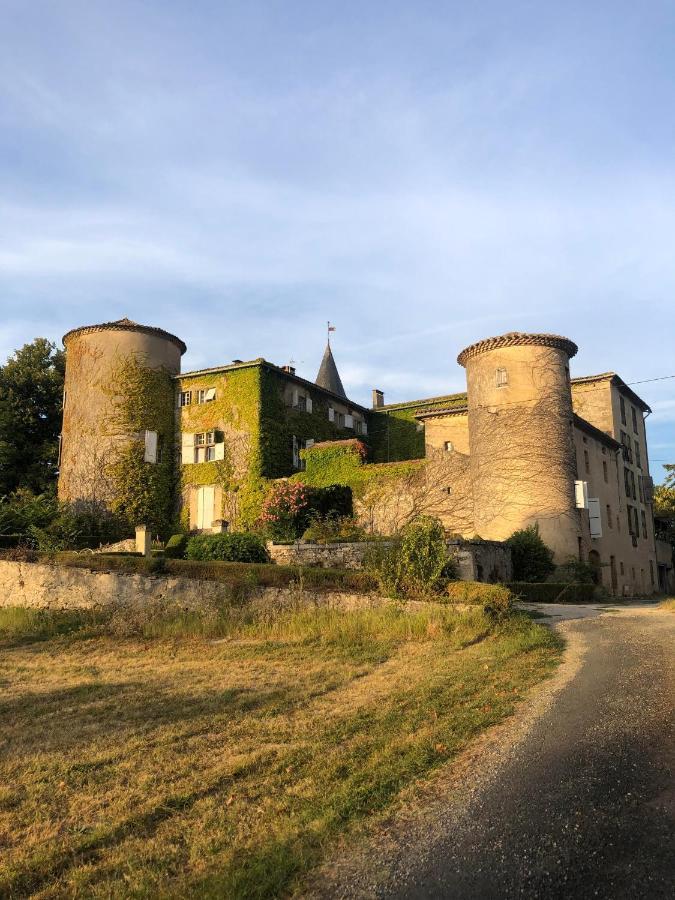 Bed and Breakfast Chateau De Montcuquet Lautrec Экстерьер фото